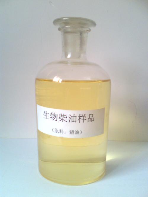 生物柴油13